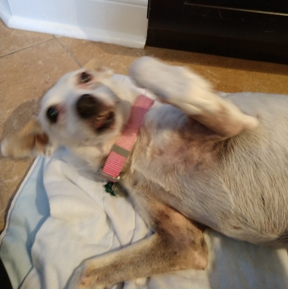 Meet your Posher, Lori - Picture 1 of 1